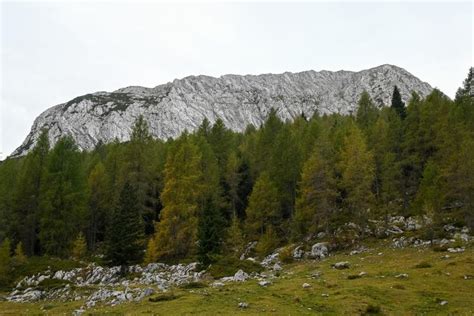 Panoramski razgled s Monte Zoncolana na Karnijske Alpe