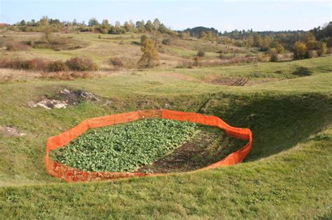 Slika vrtače v kraškem svetu