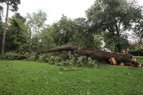 Notranjost akvarija v Mariborskem mestnem parku s prikazom različnih vrst rib