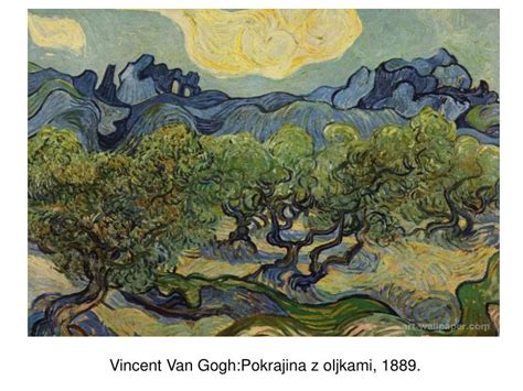 Primorska pokrajina z oljkami in vinogradi