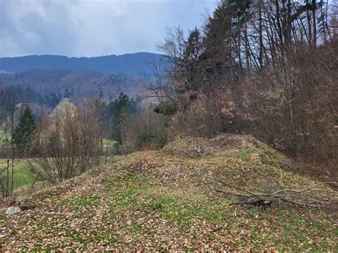 Slika Davč in okolice