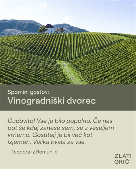 Vinograd z vinsko kletjo na Ptuju