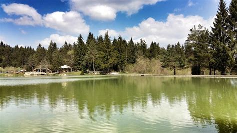 Panoramski razgled na Bloško planoto s travniki in gozdovi