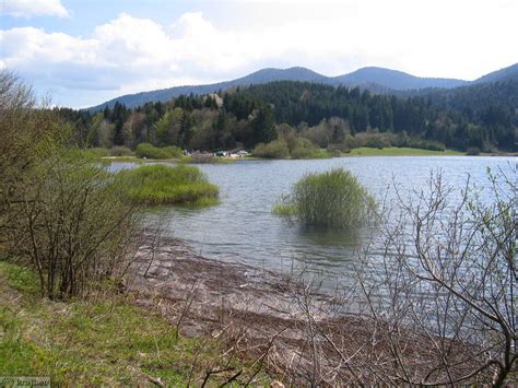 Fotografija Cerkniškega jezera v jutranji megli