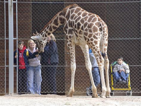 Zagrebaški živalski vrt