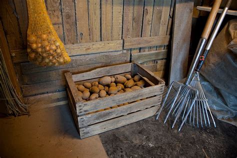 Sirarski proces v kleti