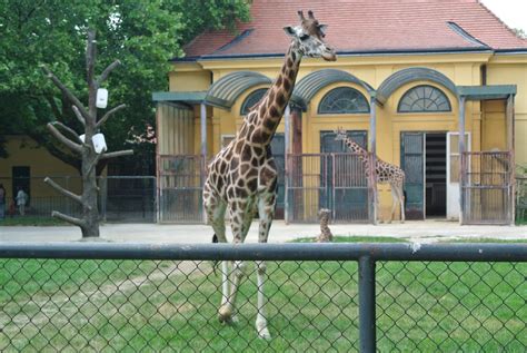 Dunajski živalski vrt