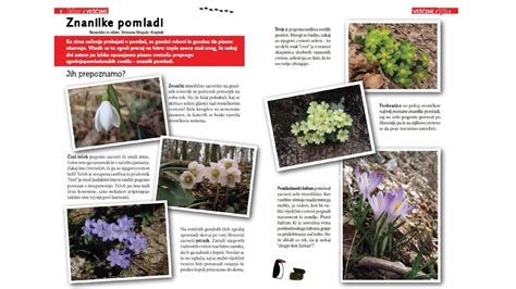 pomladansko cvetenje v Evropi