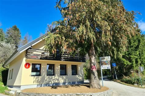 Diagram, ki prikazuje prepletanje dejavnosti javnega zavoda: turizem, šport, kultura, mladina