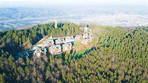 panoramski razgled na pohorske gozdove