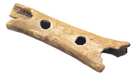 Neandertalčeva piščal iz Divjih Bab