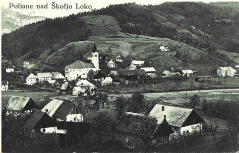 Pogled na Škofjo Loko z gradom