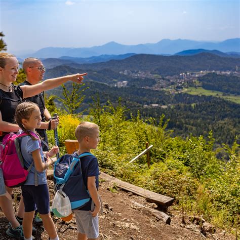 Panoramski pogled na turistično kmetijo Karničnik z okoliško vasjo Hrastovec