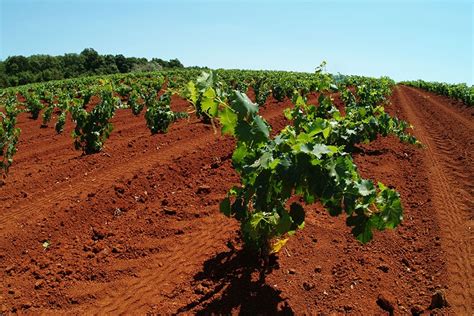 Rdeča zemlja avstralskega outbacka