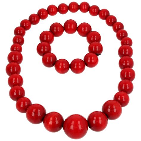 Ribe in korale na Ningaloo Reefu