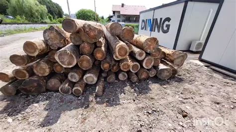 Leseni piloti pod Benetkami