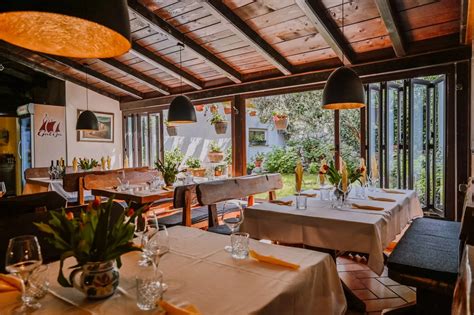 Vinogradi na otoku Krku