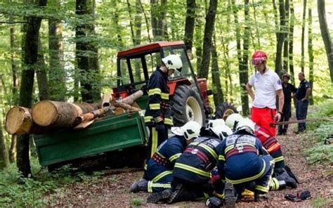 skupina ljudi med iskanjem zaklada v gozdu