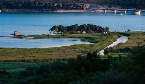 Lesena brv skozi močvirje Nerjanski Lugi