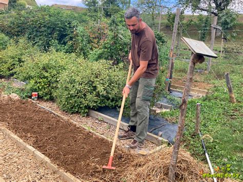 Jesenska setev mnogocvetne ljuljke