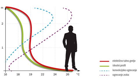 Razporeditev poganjkov glede na njihovo razvitost