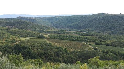 Panoramski pogled na slovensko Istro s gričevnatega območja