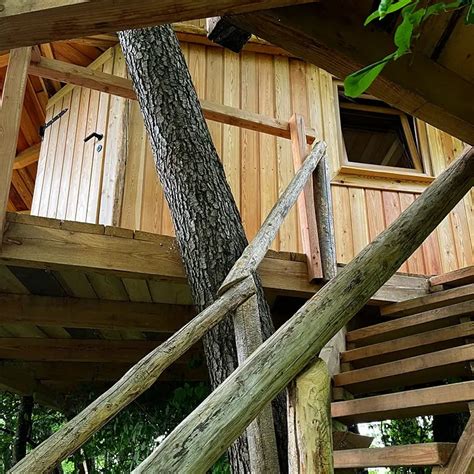 Drevesna hiška v objemu zelenja