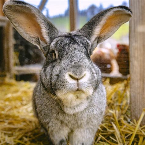 Raznolikost domačih izdelkov na kmetiji Urška.