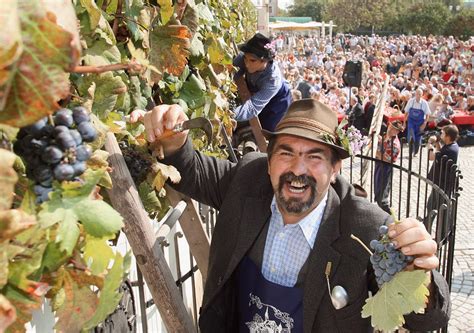 Gostje, ki pomagajo pri trgatvi grozdja.