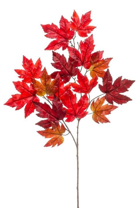 Simbol Kanade - javorjev list