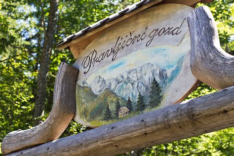 Pravljični gozd s potjo