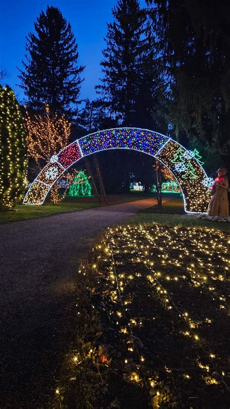 Svetlobna instalacija v Mozirskem gaju