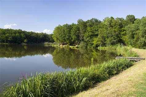 razgled na Bukovniško jezero z otokom