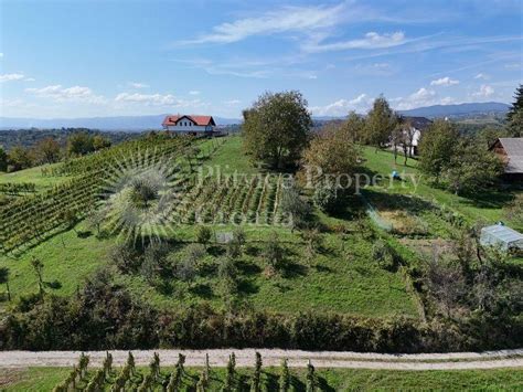 jesenski pogled na vinograde v bližini hiše