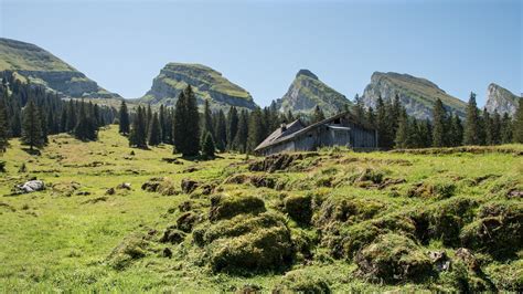 Panorama Kranja in Alp s Šmarjetne gore