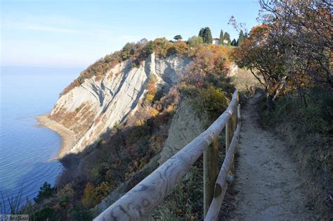 Klifi v Krajinskem parku Strunjan