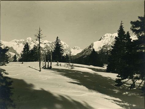 Družina na Veliki Planini med sprehodom
