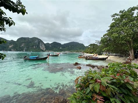 Tajska pokrajina z riževimi polji