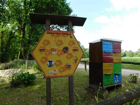 Čebelnjak na podeželju