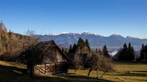 Pogled s Pokljuke na zasnežene gozdove in hribe