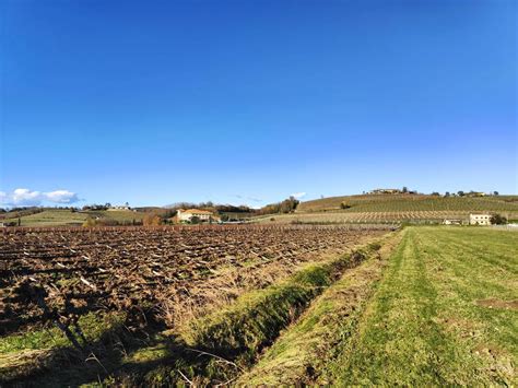 Panoramski pogled na vinograde in sadovnjake v Goriških Brdih