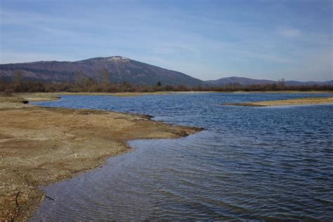 Umazana voda v jezeru