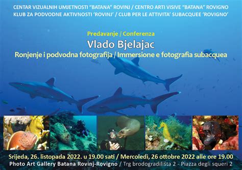 Podvodna fotografija razbitine ladje Elviscot z ribami