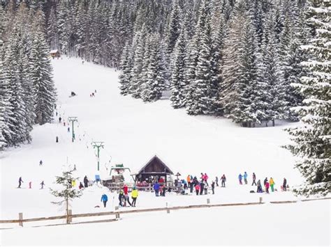 Snežno obutevstvo na Pokljuki