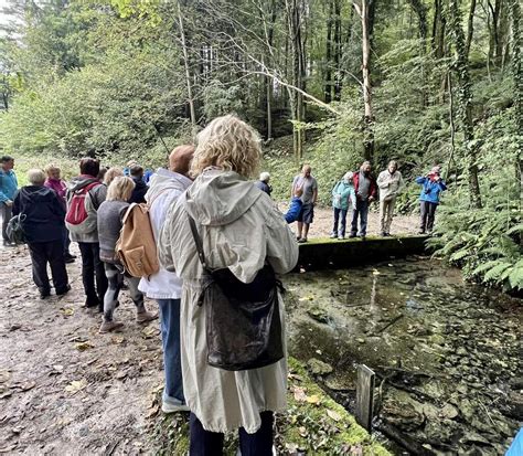 Slika cenota s kristalno čisto vodo v Mehiki