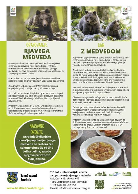 Ilustracija rjavega medveda v svojem naravnem habitatu v Prespanskem narodnem parku