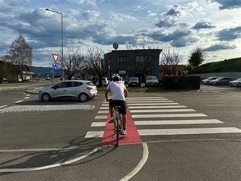 Kolesar na Parenzani ob oljčnem nasadu