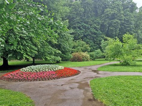 urejena cvetlična greda v mestnem parku