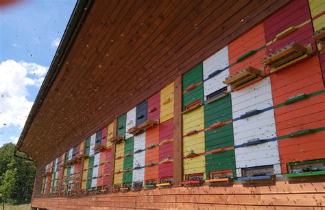 Čebelarski center in čebelnjak