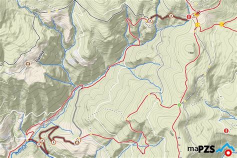 Planinska pot na Smrekovec